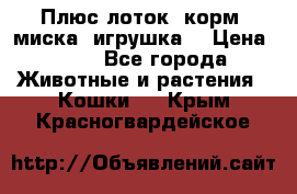 Плюс лоток, корм, миска, игрушка. › Цена ­ 50 - Все города Животные и растения » Кошки   . Крым,Красногвардейское